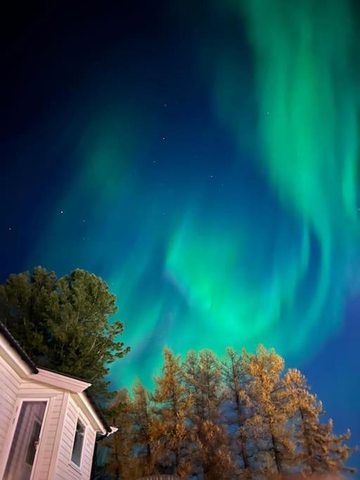 My Sweet Home Fauske Buitenkant foto